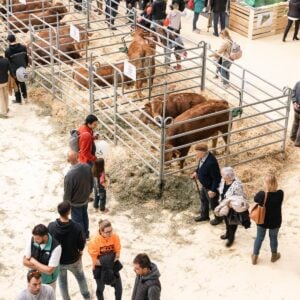 Mercat ram vic 1