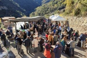 Mercat trumfo i la sal