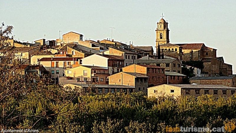 Arnes