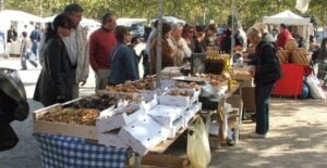 Diada del bolet sant julià de ramis foto 1 min