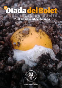 Diada del bolet a sant julià de ramis cartell 2009 min