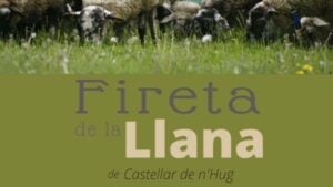 Fireta de la Llana a Castellar de n’Hug
