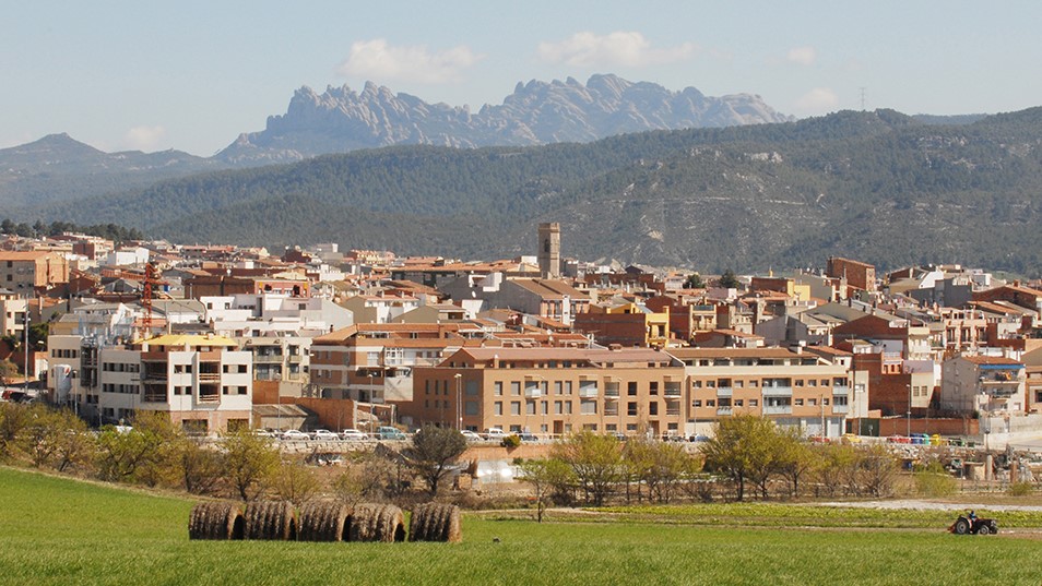 Vilanova del camí