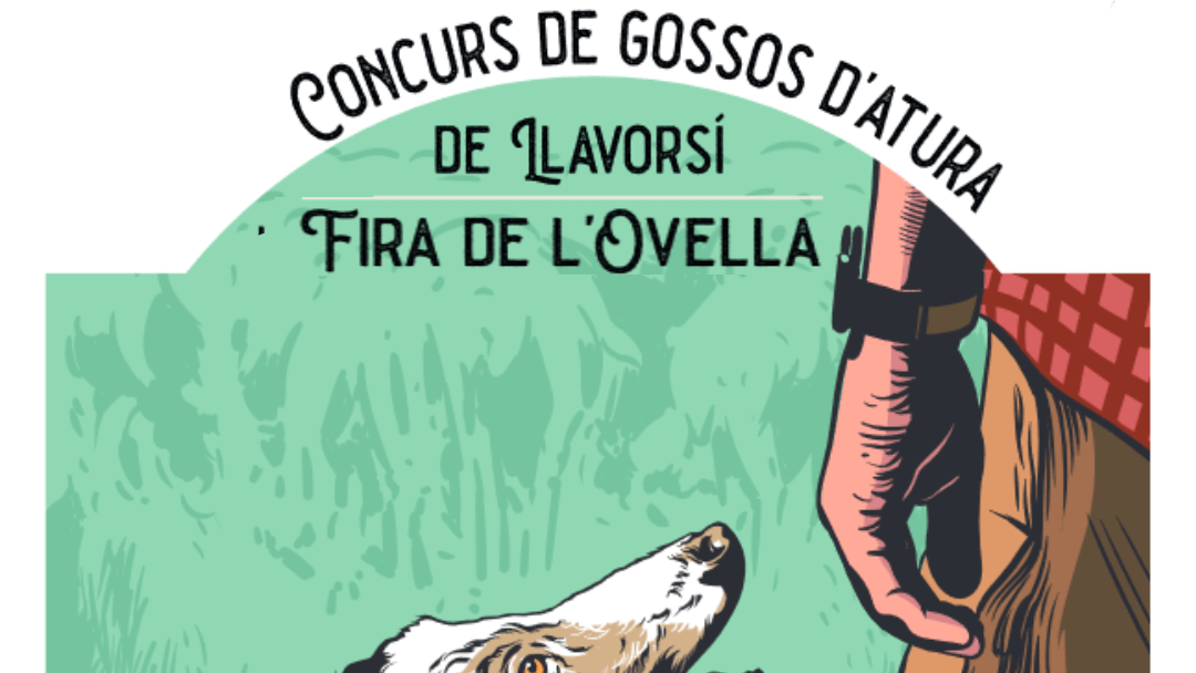 Fira de l'ovella a llavorsí portada25 min