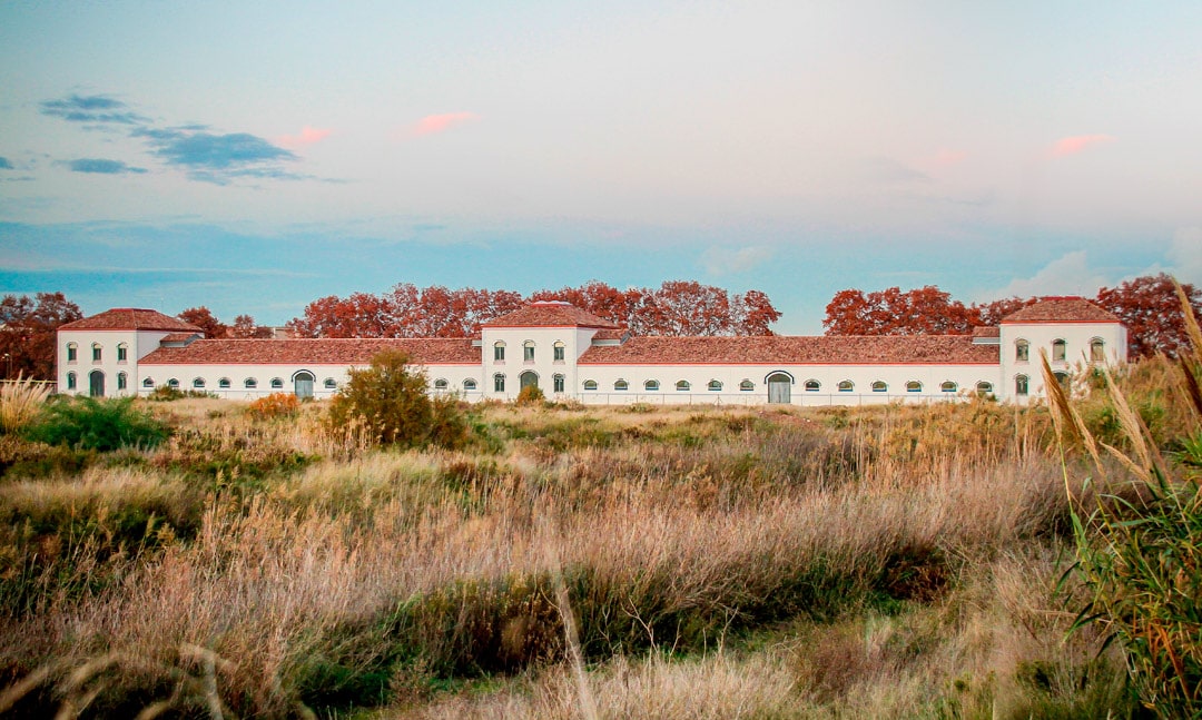 Granja de la ricarda min
