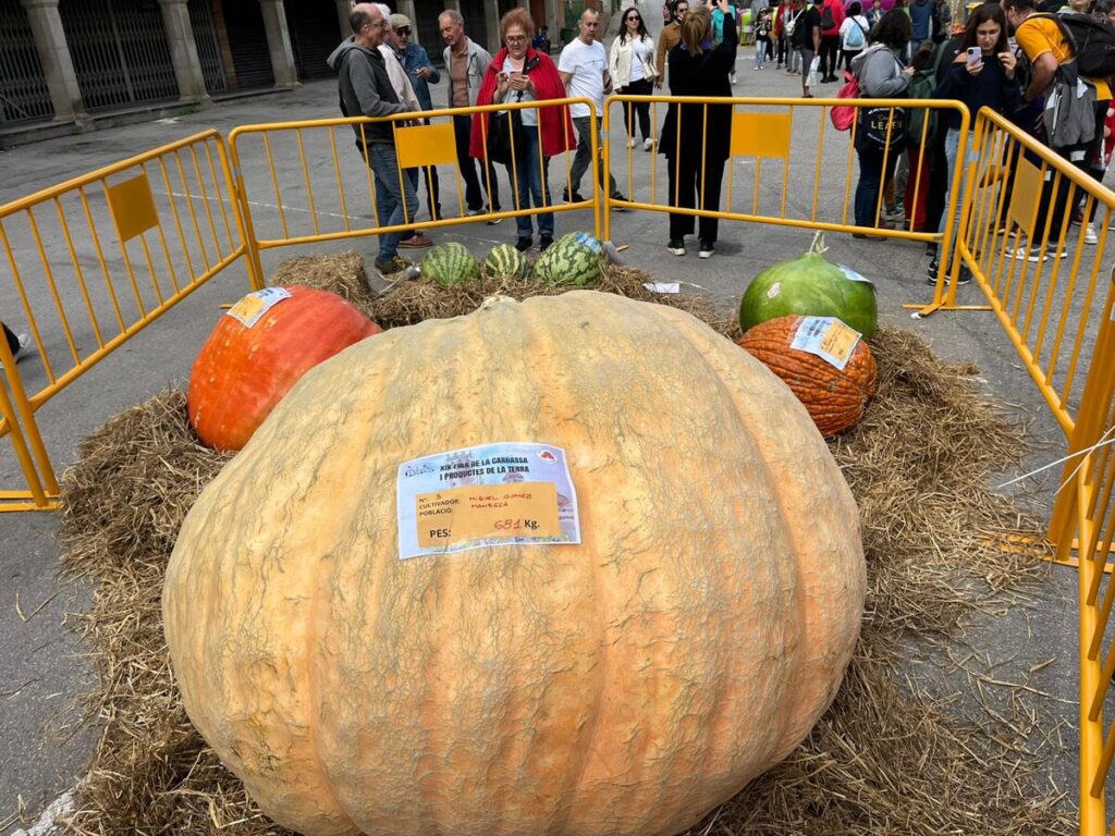 Fira de la Carbassa i productes de la terra a Sant Feliu de Codines