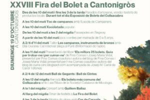 Fira del bolet a cantonigròs 2025