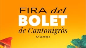 Fira del Bolet a CantonigrΓ²s Fira del Bolet a CantonigrΓ²s