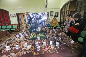 Fira del bolet de cantonigròs a l’esquirol foto 1