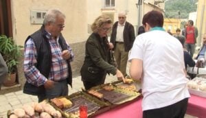 Fira del rovelló a alfara de carles foto 4