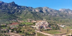 Fira del Rovelló a Alfara de Carles
