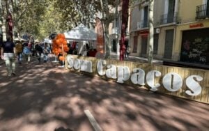 Fira de les capacitats sabadell foto 3