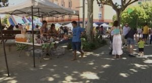 Fira de segona mà i col·leccionisme montmelo foto