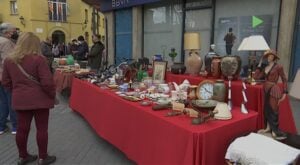 Fira de segona mà i col·leccionisme montmelo foto