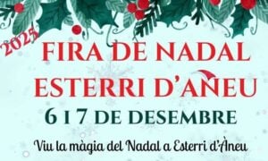 Fira de Nadal a Esterri d’Aneu