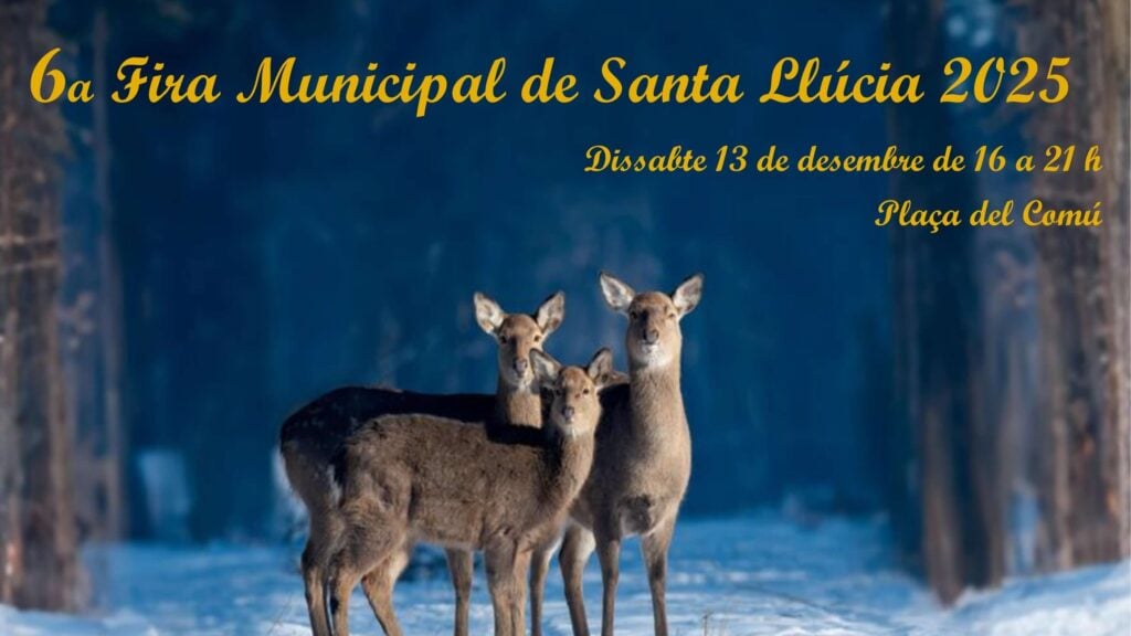 Fira de Santa Llúcia a Dosrius cartell