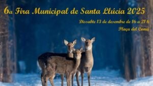 Fira de Santa Llúcia a Dosrius