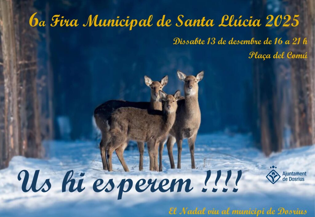 Cartell de Fira de Santa Llúcia a Dosrius