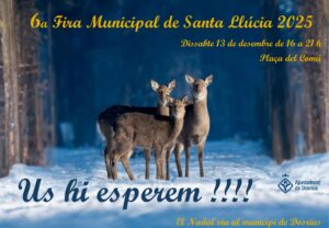 Fira de Santa Llúcia a Dosrius cartell