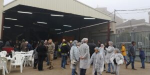 Fira de l'Oli nou a Cervià de les Garrigues foto