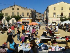 Mercat de 2a mà a Sant Feliu de Codines foto