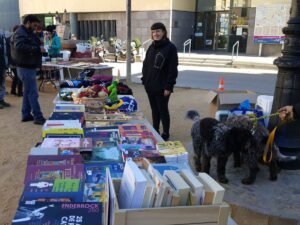 Mercat de 2a mà a Sant Feliu de Codines foto