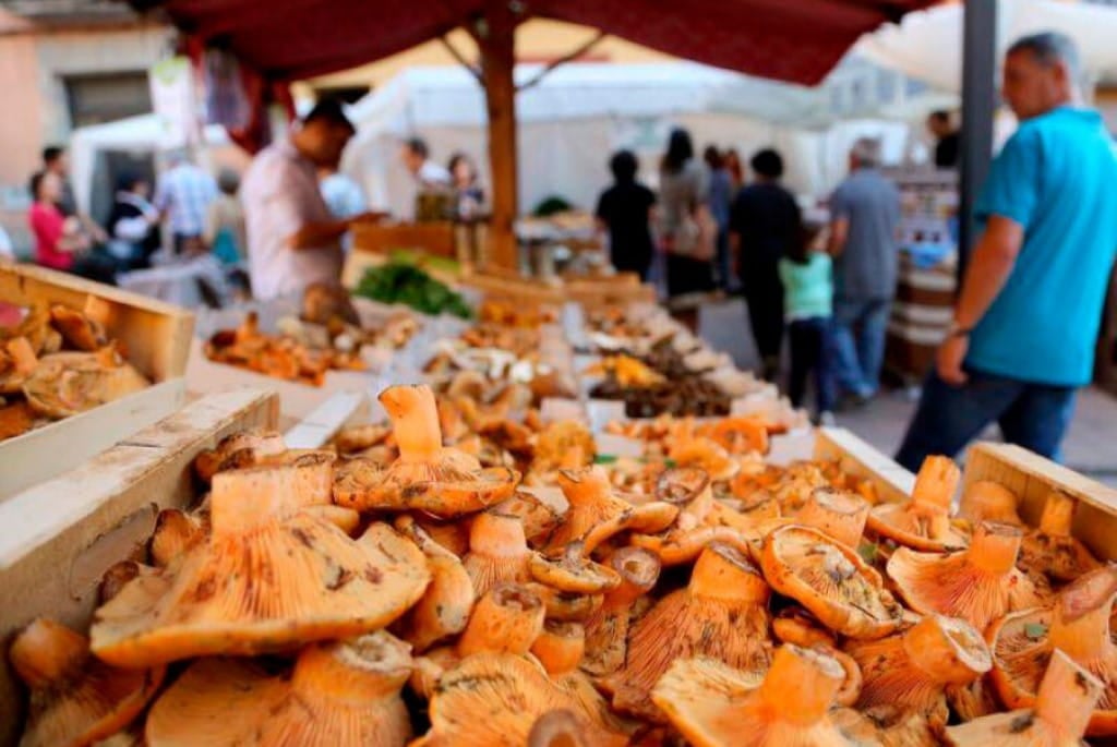 Benvinguts a Fires Catalanes bolets 1 (1)