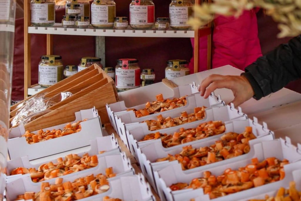 Benvinguts a Fires Catalanes bolets 2 (1)