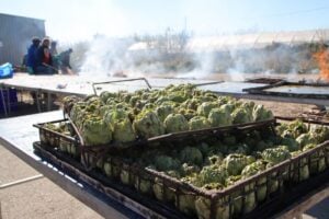 Festa de la Carxofa a l'Aldea