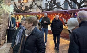 Fira de Sant Tomàs a Tremp foto