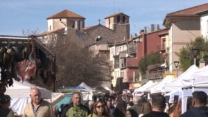 Fira del Benestar Animal a les Borges Blanques foto