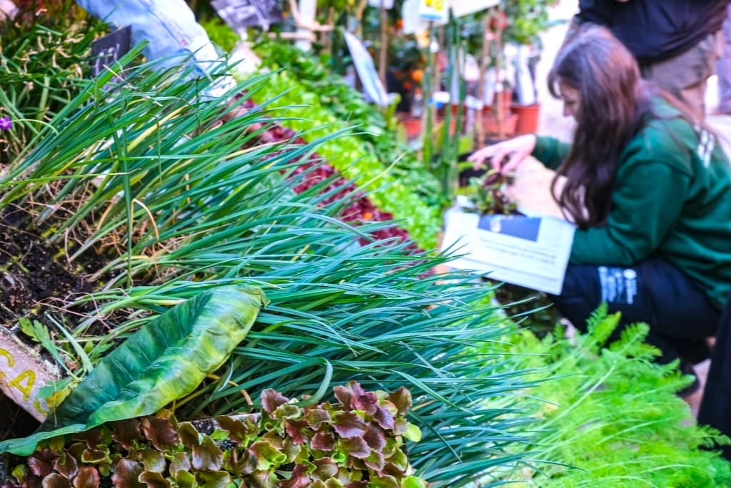 Benvinguts a Fires Catalanes 26