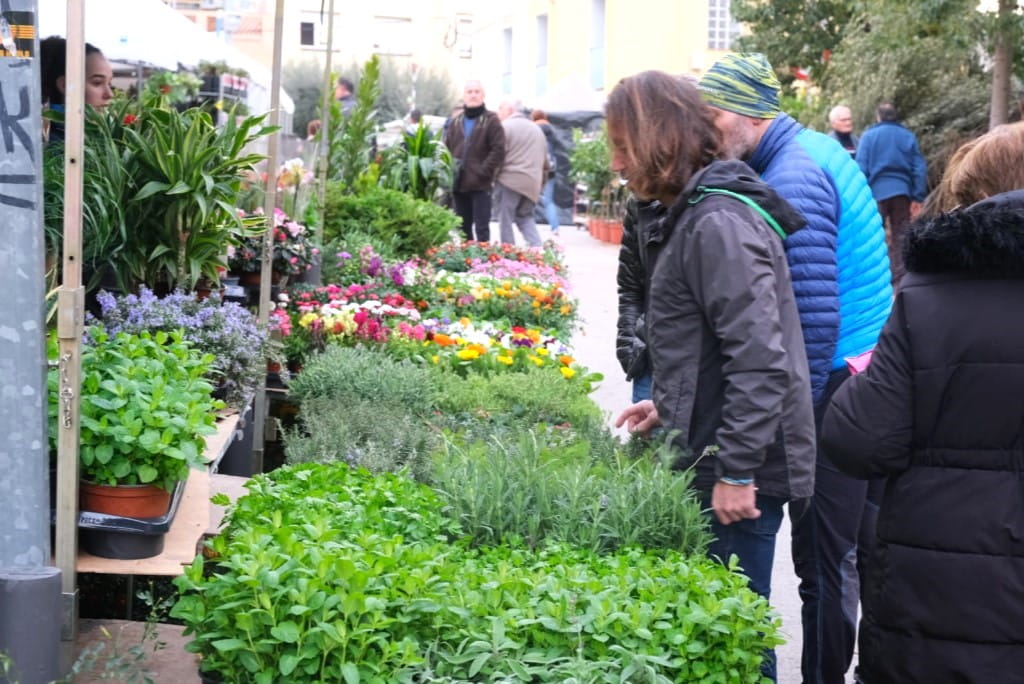 Benvinguts a Fires Catalanes 26