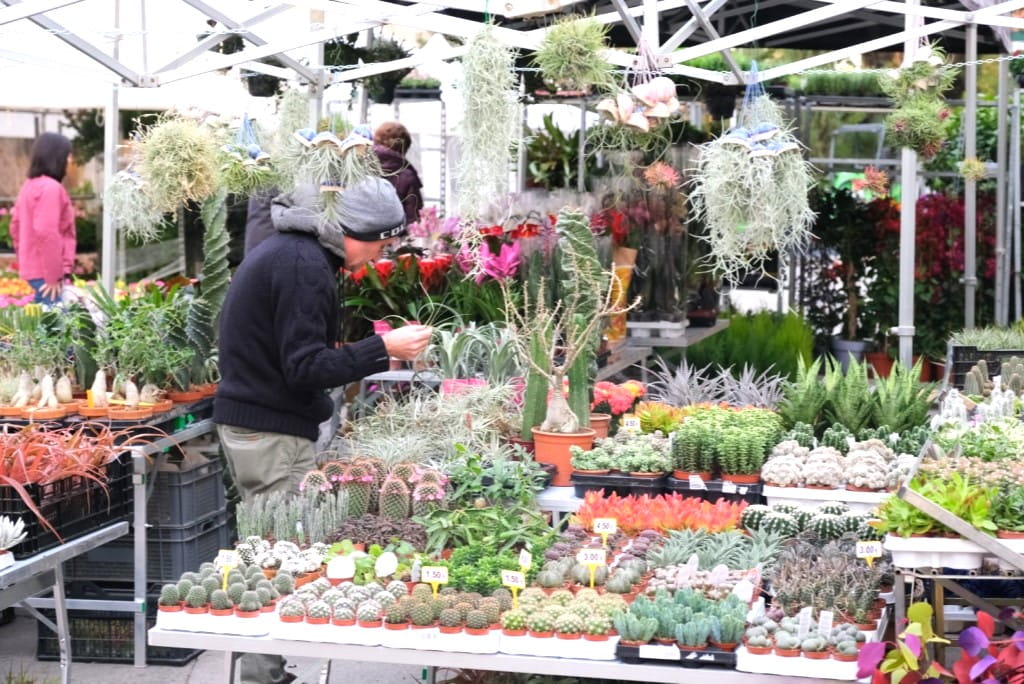 Benvinguts a Fires Catalanes 26