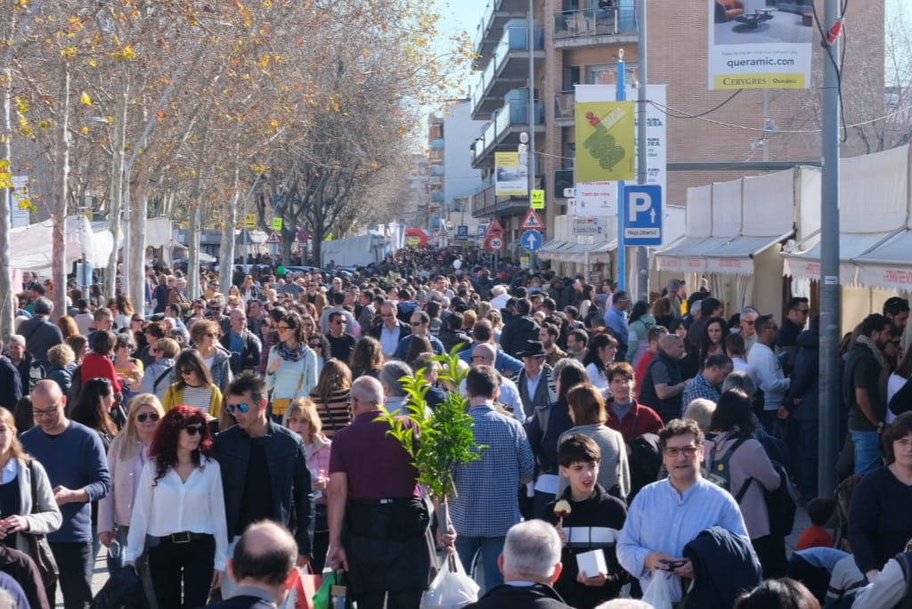 Benvinguts a Fires Catalanes 26