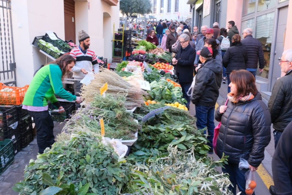 Benvinguts a Fires Catalanes 26