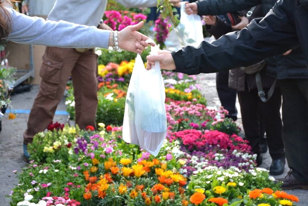 Benvinguts a Fires Catalanes 26