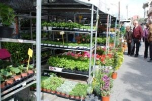 Fira dels Horts a Ripollet