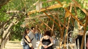 D’Artesanes – Mercat de Ponent a Castellnou d’Oluges