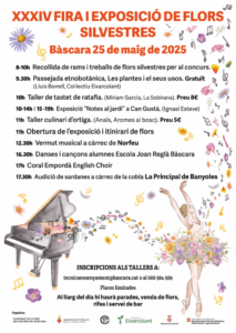 Fira i Exposició de Flors Silvestres a Bàscara cartell