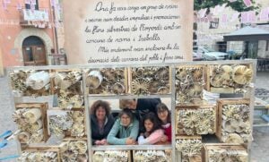 Fira i Exposició de Flors Silvestres a Bàscara foto