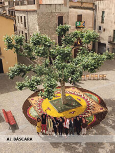 Fira i Exposició de Flors Silvestres a Bàscara foto