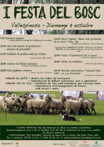 Festa del Bosc de Vallespinosa a Pontils cartell