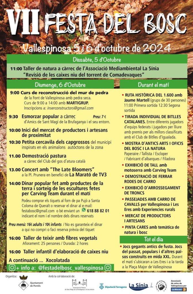 Cartell de Festa del Bosc de Vallespinosa a Pontils