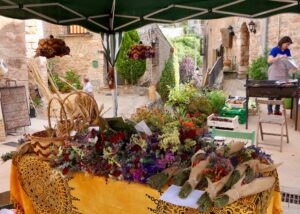 Festa del Bosc de Vallespinosa a Pontils foto