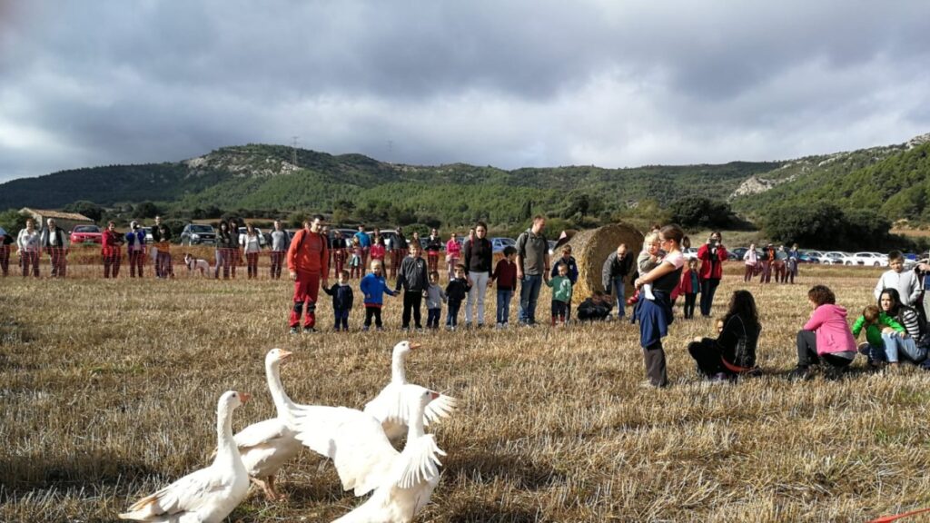 Festa del Bosc de Vallespinosa a Pontils1