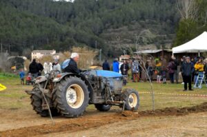 Festa dels Estelladors a Torrelles de Llobregat foto