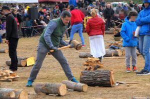 Festa dels Estelladors a Torrelles de Llobregat foto