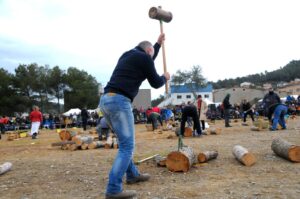 Festa dels Estelladors a Torrelles de Llobregat foto