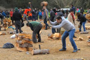 Festa dels Estelladors a Torrelles de Llobregat foto